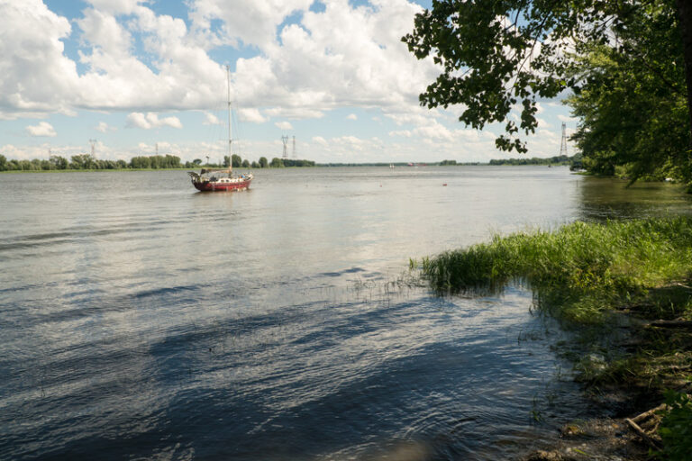 _DSC8314